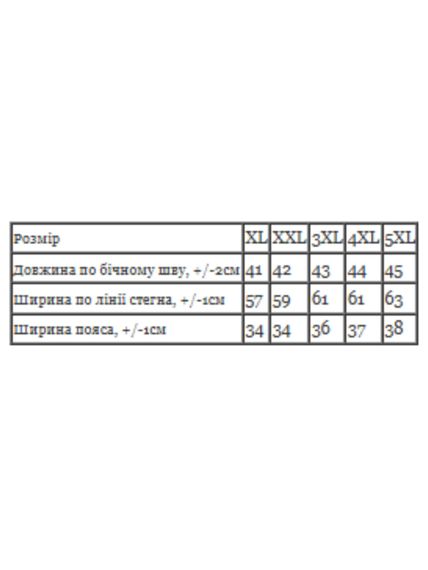 Шорти чоловічі Носи своє XXL Бірюзовий (p-16995-197225) | Зображення 3