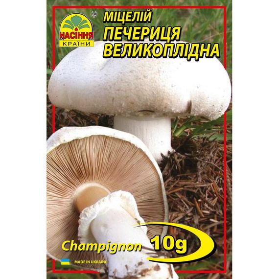 Печериця великоплідна 10 г