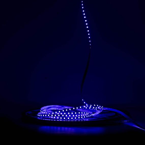 Світлодіодна LED стрічка PROLUM™ 24V IP20 2835\120 6ММ S-TYPE Series "S" Синій | Зображення 1