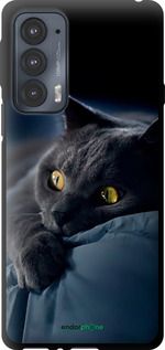Чохол на Motorola Edge 20 Димчастий кіт "825b-2497-2448"