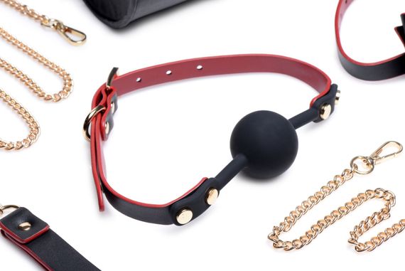 Набір БДСМ з дорожньою сумкою Master Series: Bow — Luxury BDSM Set With Travel Bag, 11 предметів | Зображення 2