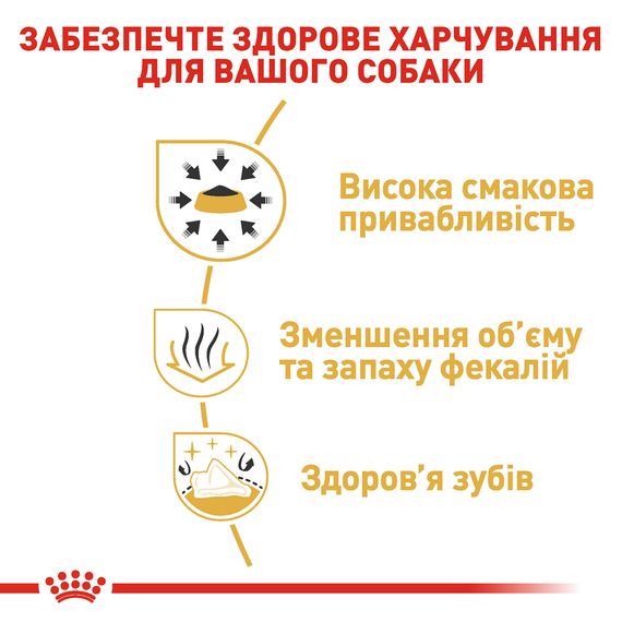 Сухий корм для собак Royal Canin Chihuahua Adult для чихуахуа у віці від 8 місяців. 3 кг | Зображення 3