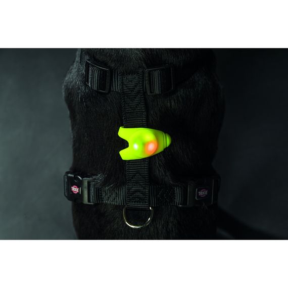 Брелок-ліхтарик Trixie для собак з водовідштовхувальним покриттям силікон 8х2,4 см | Зображення 9