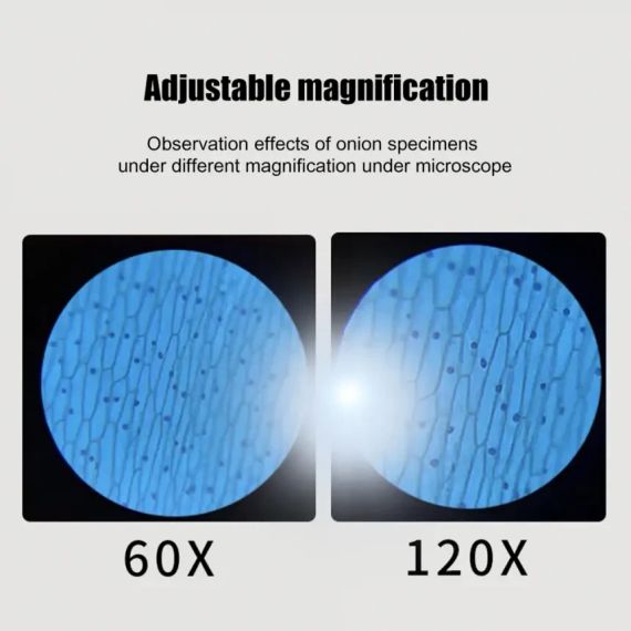 Дитячий портативний мікроскоп із підсвічуванням LED | Зображення 5