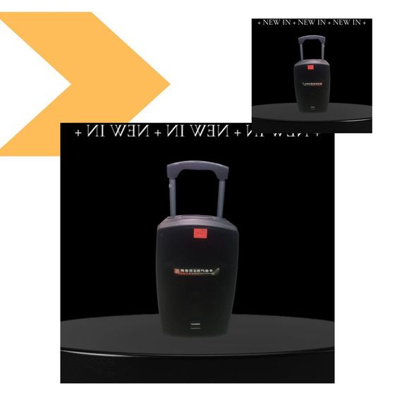 Динамік Temeisheng SL 12-32 з двома мікрофонами 12″ 150 Вт XPRO (45717-12-32_9034) | Зображення 1