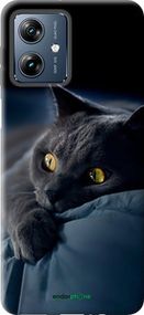 Чохол на Motorola Moto G54 Power Димчастий кіт "825u-3897-2448"