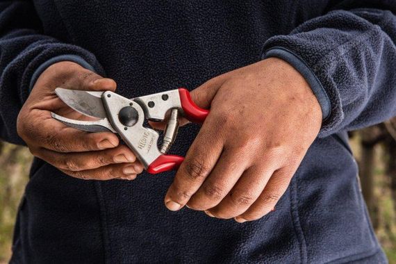 Секатор садовий FELCO 16 | Зображення 1