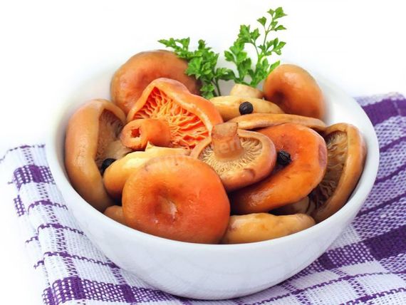 Рижик 10 г | Зображення 2