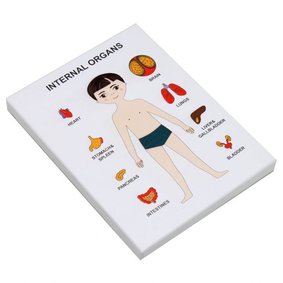 Пазли навчальні Internal Organs 30349