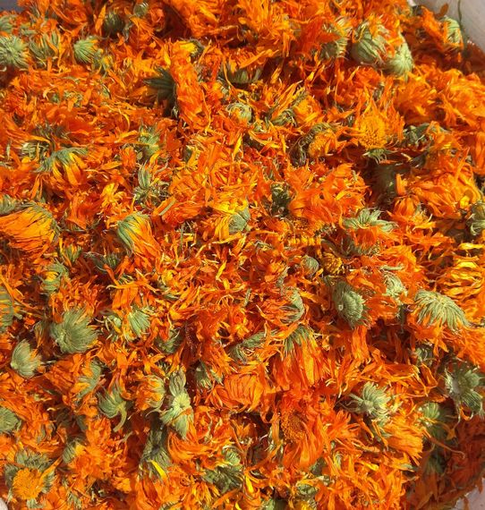 100г Календула (цвіт)