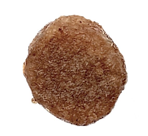 Сухий корм для кошенят з м'ясом птиці Happy Cat Minkas Junior Care Geflugel, 10 кг | Зображення 1