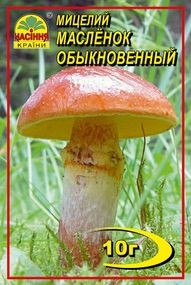 Маслянок 10 г