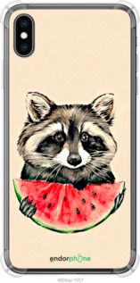 Чохол на iPhone XS Max Єнотик з кавуном "4605sp-1557-2448"