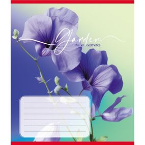 Зошит учнівський "Естетика" 024-550443K-3 в клітинку, 24 аркуші