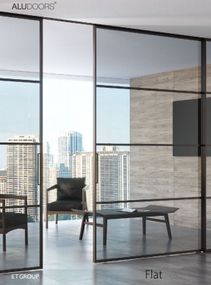 Двери межкомнатные AluDoors Flat (раздвижная) Покраска по RAL