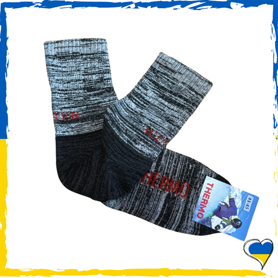 Шкарпетки термо махрові чоловічі з вовни. 41-45р