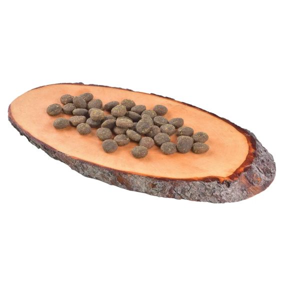 Сухий корм для дорослих собак усіх порід Carnilove True Fresh FISH for Adult dogs 1,4 кг (риба) | Зображення 1