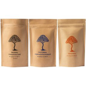 Грибний комплекс Дідусь Мухомор Набір “Здорова дитина” (3 вида грибів) 60 +60 + 60 капсул