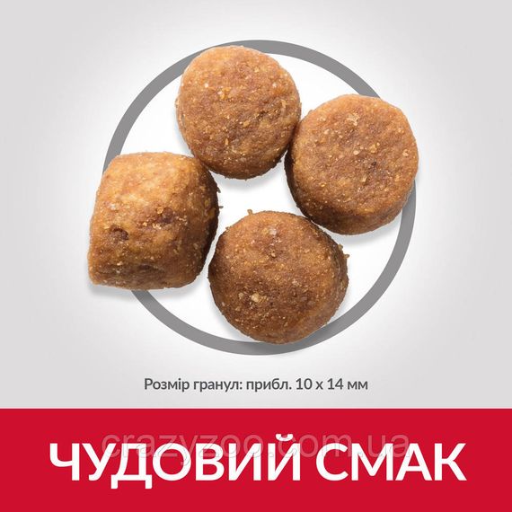 Сухий корм для собак середніх порід Hill's Adult Medium Tuna & Rice з тунцем та рисом 2.5 кг 604279 | Зображення 2