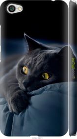 Чохол на Xiaomi Redmi Note 5A Димчастий кіт "825m-1401-2448"