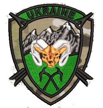 Шеврон Инструктор НАТО (мультикам)