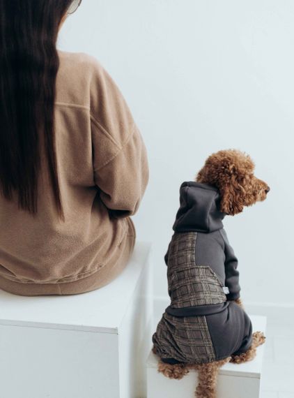 Костюм з клiтинкою сiрий D-183 | Зображення 1