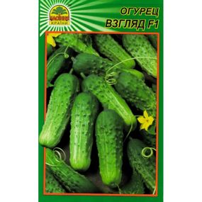 Насіння огірка Погляд F1 15 шт. (Насіння країни)