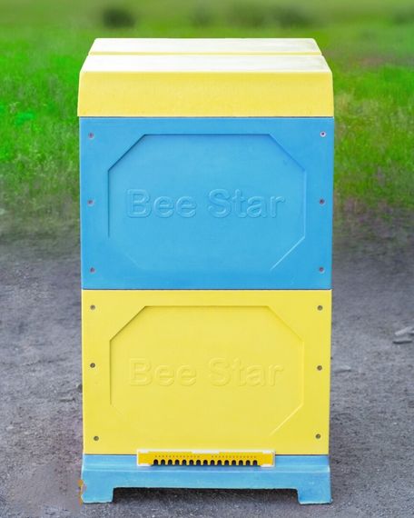 Вулик ППУ “BeeStar” (2 корпуси Дадан 300 мм на 10 рамок) – кольоровий | Зображення 2