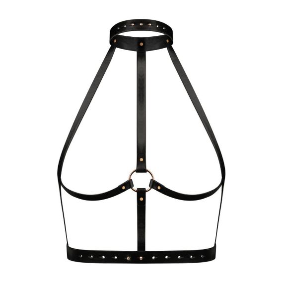 Портупея Rosy Gold - Body Harness - Black Sex Aura | Зображення 2