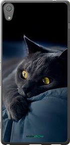 Чохол на Sony Xperia XA Ultra Dual F3212 Димчастий кіт "825u-391-2448"