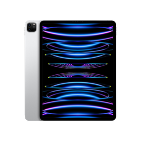IPad Pro 11 2022 Wi-Fi + Cellular 256GB Silver (MP583, MNYF3)