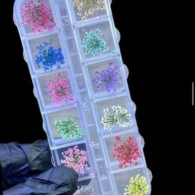 Набор сухоцветов для дизайна ногтей, 12шт (в органайзере)