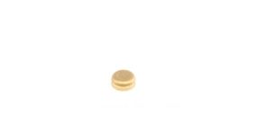 Заглушка блоку циліндрів d=14mm Латунь Brass 40944