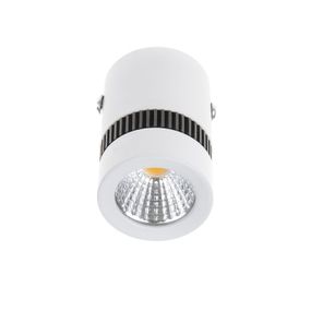 Светильник потолочный LED накладной LED-217/5W WW WH