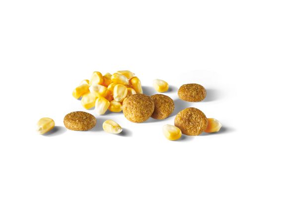 Сухий корм для котів для профілактики сечокам'яної хвороби Brekkies Cat Urinary Care, 20 кг | Зображення 2