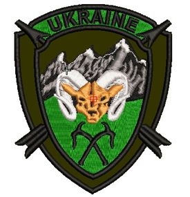 Шеврон Инструктор НАТО (олива)
