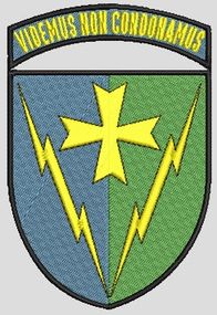 Шеврон VIDEMUS NON CONDONAMUS