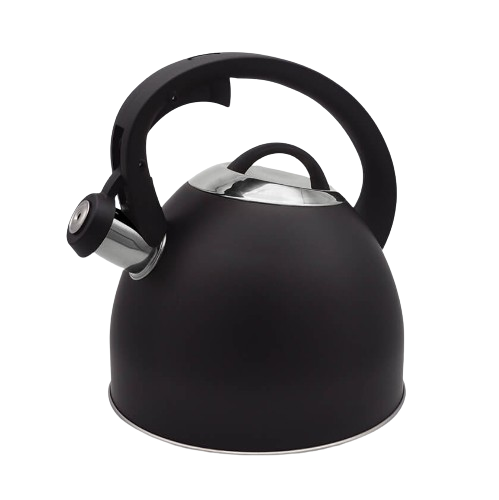Чайник 2,5л нержавіюча сталь чорний мат MR-1325 Rainbow Maestro