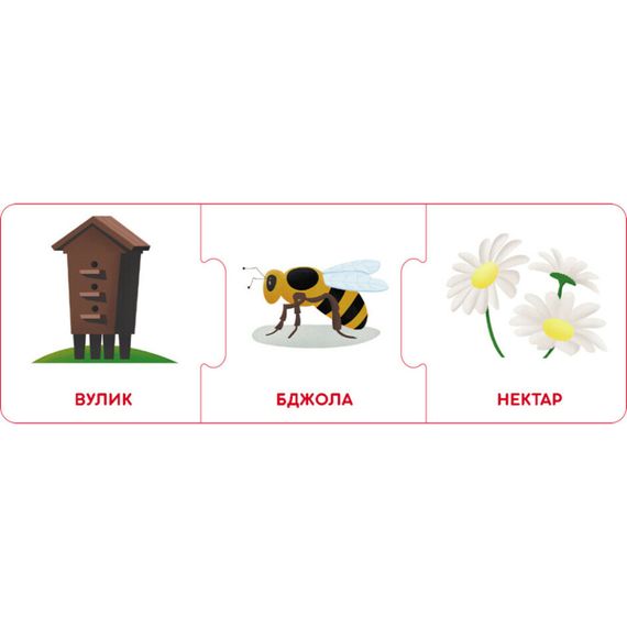 Логічні ланцюжки "Світ тварин. Хто де живе і що їсть" 1782002 українською мовою | Зображення 4