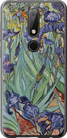 Чехол на Nokia 6.1 Plus Винсент Ван Гог. Ирисы "161u-1539-17620"