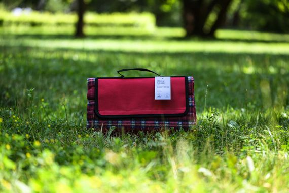 Плед Ardesto Picnic 130х170см, 100% поліестер, клітинка червоний (ART0916RC) | Зображення 3