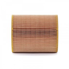 Воздушный фильтр для автомобиля Mann C1381