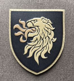 Шеврон 4 ОТБ (3D гумовий)