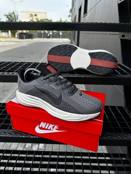Кросівки Nike ZOOMx Pegasus FLYKNIT (d. gray) | Зображення 1