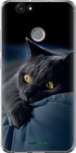 Чохол на Huawei Nova Димчастий кіт "825t-439-2448"