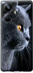 Чехол на Realme 10 Pro Plus Красивый кот "3038u-2944-17620"