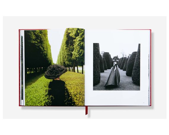 Книга фэшн фотографы 20 века альбом фоторабот Родни Смита Rodney Smith. Photographs Книга для фотографов | Зображення 6