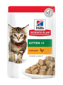 Hill's SP Kitten Вологий корм для кошенят і кішок у період вагітності та лактації, з куркою, пауч, 85г х 12 шт