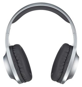 Гарнітура Panasonic RB-HX220BEE-S (RB-HX220BEES)