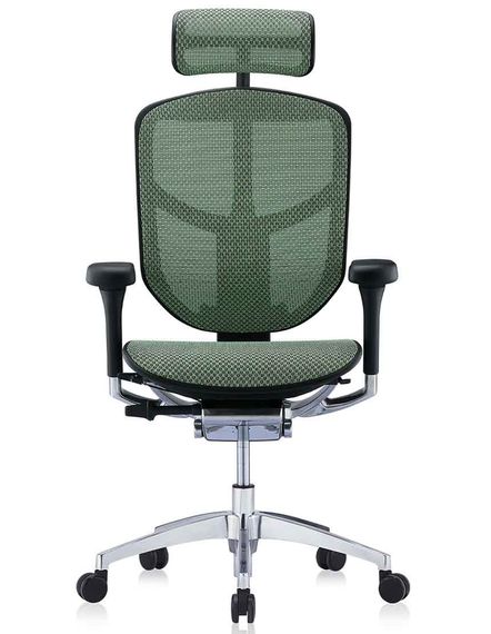 Кресло офисное Comfort Seating ENJOY Elite 2 (EJE2-AB-HAM-5D-L, сетка T-168-B6 Green) | Зображення 1